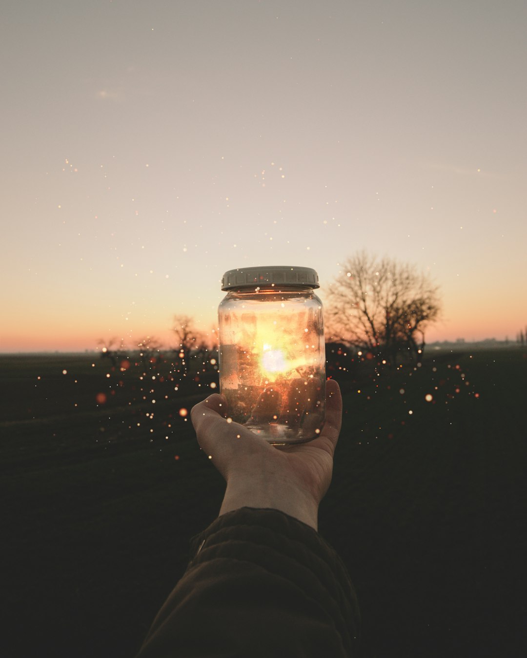 Nature Photography